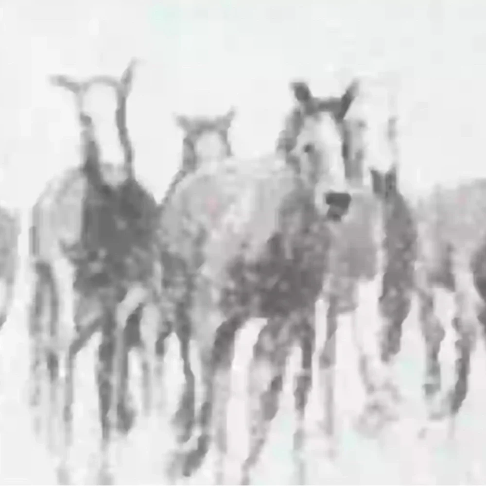 Fade - Picture 4 of 6